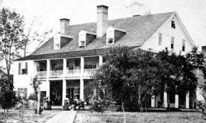 hibernia-plantation